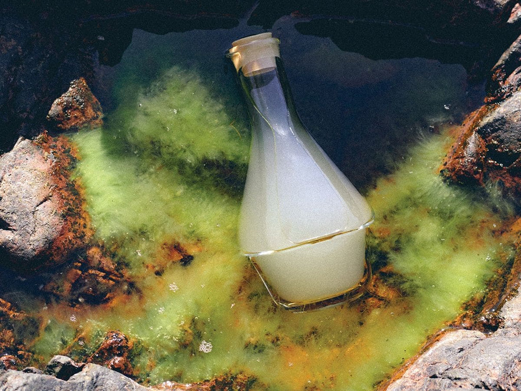 Flaske med Harklinikken Extract i havvand blandt stenpool